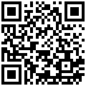 qr code  2